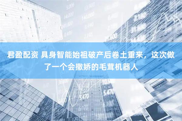 君盈配资 具身智能始祖破产后卷土重来，这次做了一个会撒娇的毛茸机器人